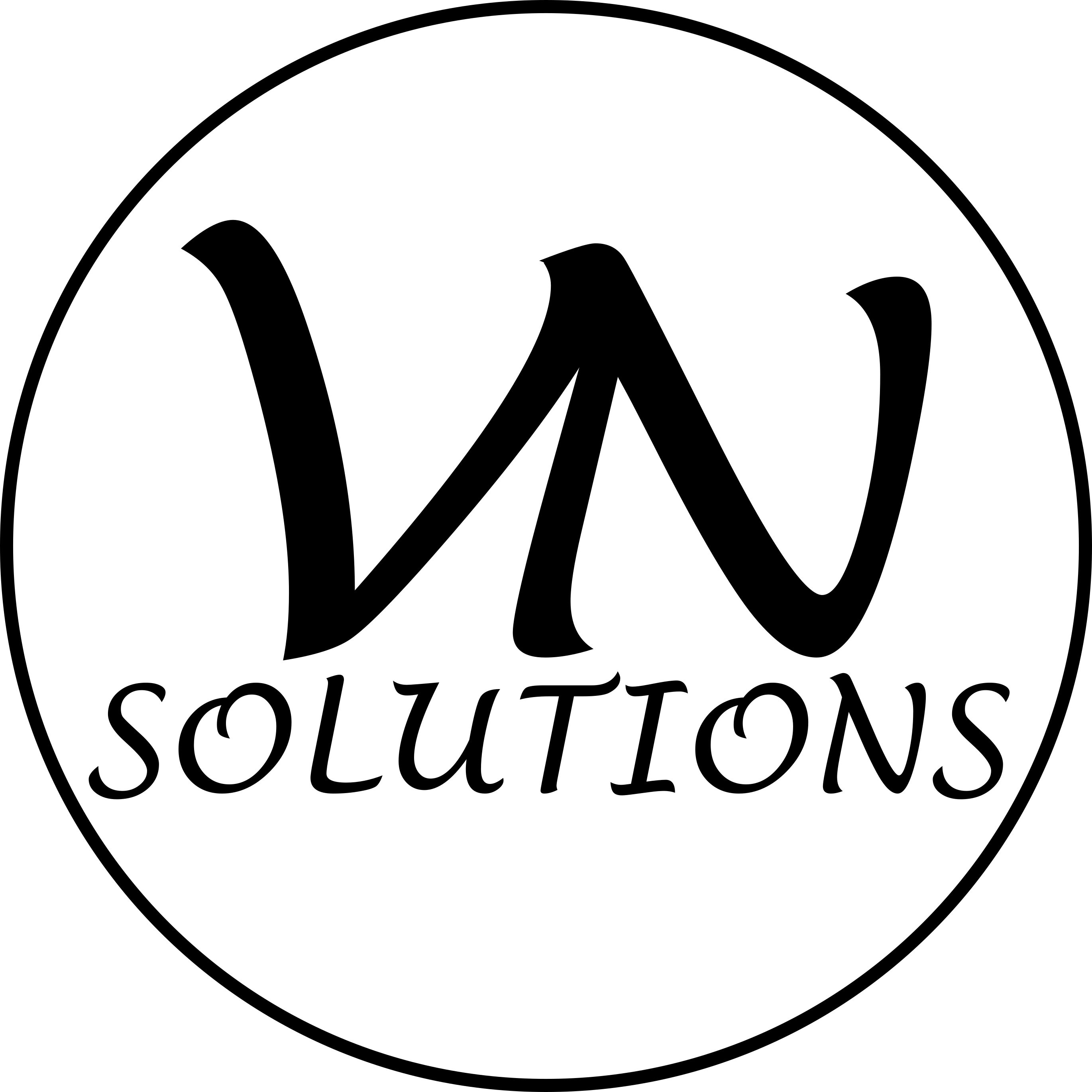 vnsolutions.png