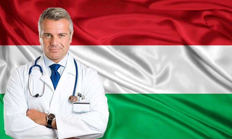 Treatment of diseases in Hungary