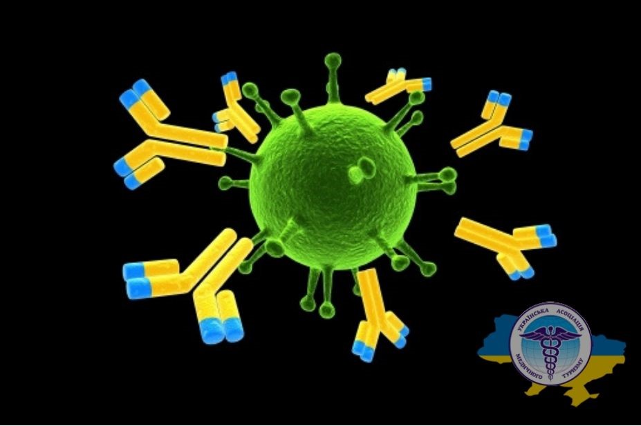 Схема действия антител