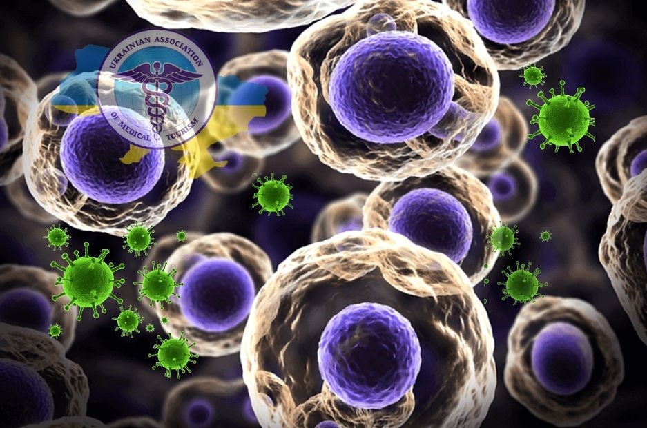 Virus and stem cells